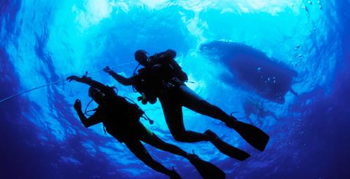 Tauchen-Scuba Diving Kroatien- Tauchen an der Makarska Riviera